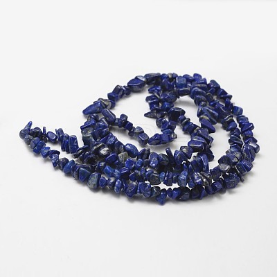Natural Lapis Lazuli Beads Strands G-F328-29-1