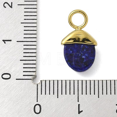 304 Stainless Steel Dyed Natural Lapis Lazuli Pendants STAS-L277-07G-06-1