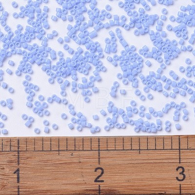 MIYUKI Delica Beads SEED-X0054-DB1137-1