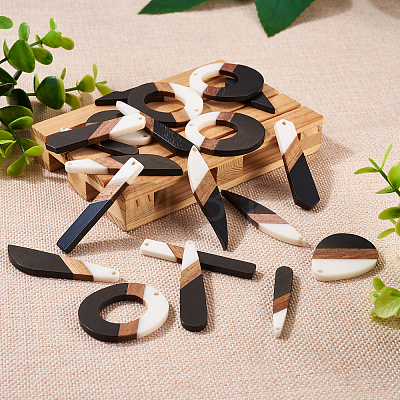 20Pcs 10 Styles Opaque Resin & Walnut Wood Pendants RESI-TA0001-65-1