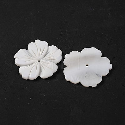 Natural Freshwater Shell Carved Beads BSHE-S304-16-1