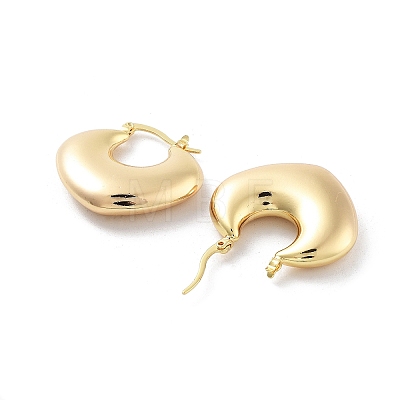Brass Hoop Earrings EJEW-H301-02G-05-1