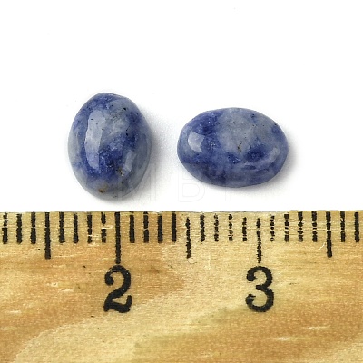 Natural Blue Spot Jasper Cabochons G-A094-01B-49-1