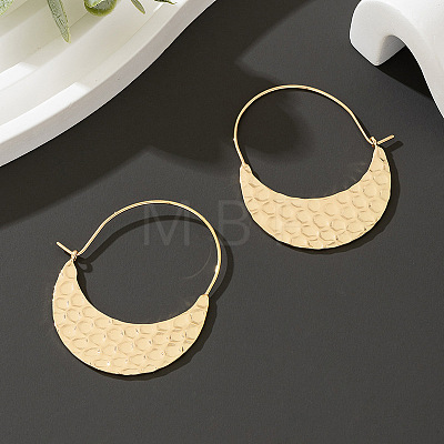 Alloy Hoop Earrings FS-WG09946-02-1