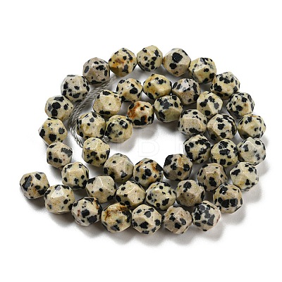 Natural Dalmatian Jasper Beads Strands G-C085-A07-01-1