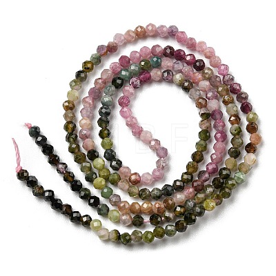 Natural Tourmaline Beads Strands G-G0005-C04-1