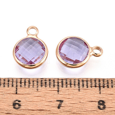 Golden Tone Brass Glass Charms X-GLAA-ZX008-24I-G-1