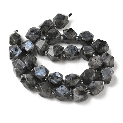 Natural Labradorite Beads Strands GG-CBAF8A8-A05-01-1