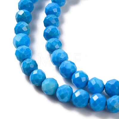 Natural Howlite Beads Strands G-C025-02B-10-1