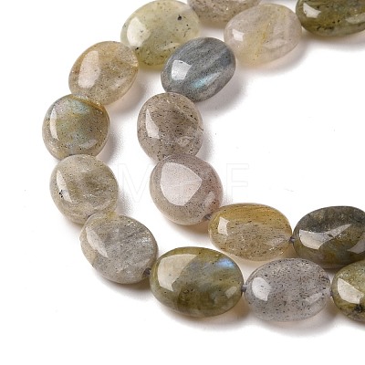 Natural Labradorite Beads Strands G-C238-37-1