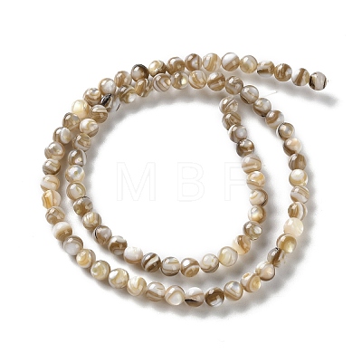 Natural Freshwater Shell Beads Strands X-SSHEL-B002-15-1