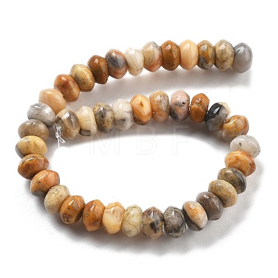 Natural Crazy Agate Beads Strands G-P559-A05-01-1