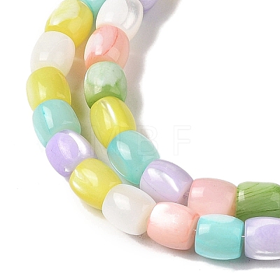 Natural Trochid Shell/Trochus Shell Beads Strands BSHE-H018-05-1