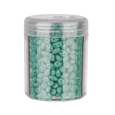 Czech Glass Seed Beads SEED-JP0005-63130-1