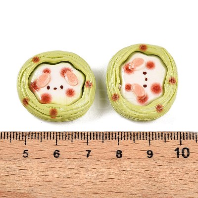 Cartoon Opaque Resin Decoden Cabochons RESI-N039-129C-1