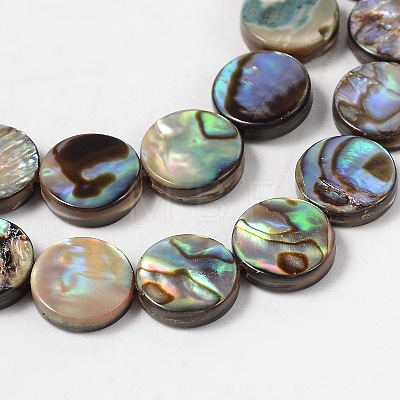 Natural Abalone Shell/Paua Shell Beads Strands SHS014-01-1
