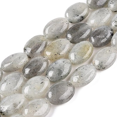 Natural Labradorite Beads Strands G-M206-42-1