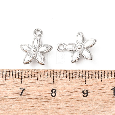 304 Stainless Steel Charms STAS-K303-08A-P-1
