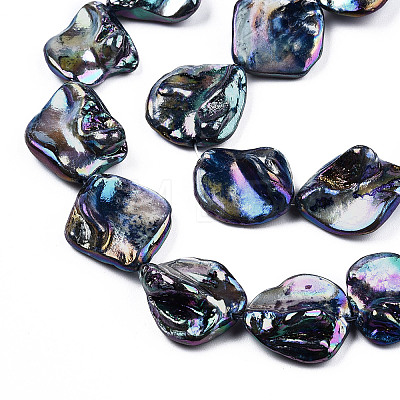 Freshwater Shell Beads Strands X-SHEL-N026-204-1