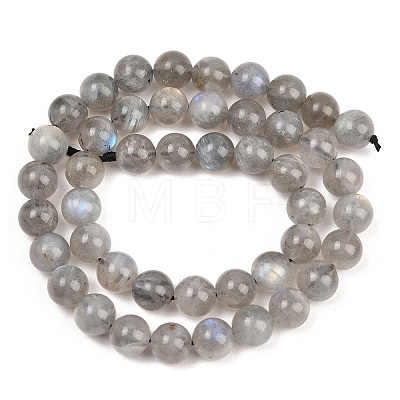 Natural Labradorite Beads Strands G-L654-O02-8mm-1