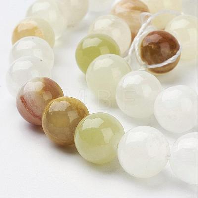 Natural Gemstone Beads Strands GSR10mmC008-1