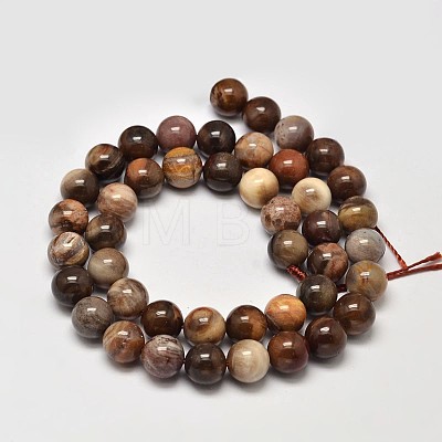 Natural Petrified Wood Round Bead Strands G-F266-08-8mm-1