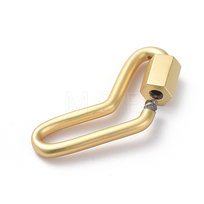 Brass Screw Carabiner Lock Charms ZIRC-G160-65G-1