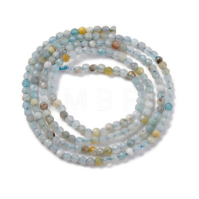 Natural Amazonite Beads Strands G-E351-10A-01-1