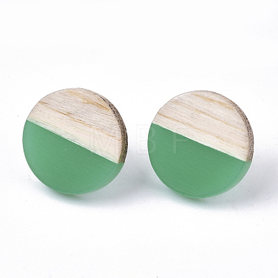 Transparent Resin & Wood Stud Earrings EJEW-N017-003A-D02-1