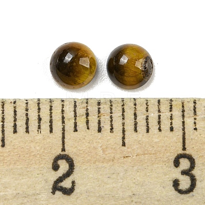 Natural Tiger Eye Cabochons G-H309-03-40-1