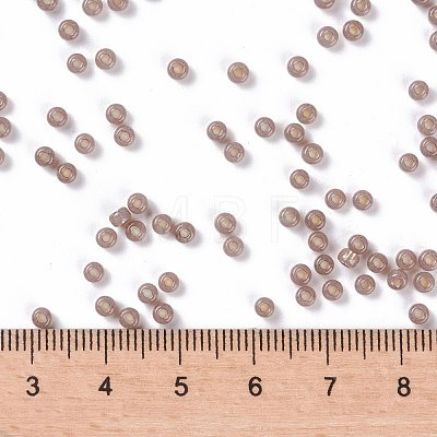 MIYUKI Round Rocailles Beads X-SEED-G008-RR0641-1