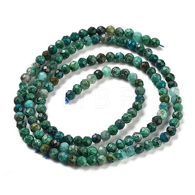 Natural Chrysocolla Beads Strands G-P514-A03-02-01-1