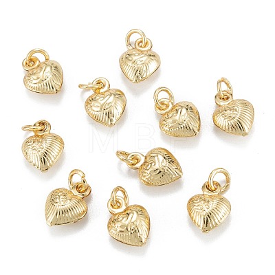 Brass Charms KK-C216-06G-1