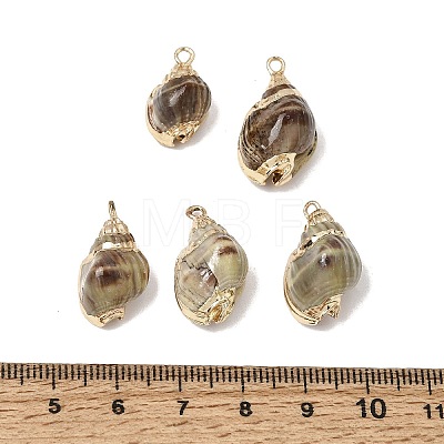 Brass & Natural Shell Pendants SH-CBA27C9-07-1