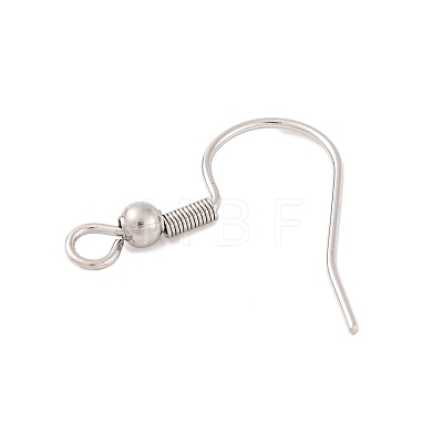 Tarnish Resistant 304 Stainless Steel Earring Hooks STAS-H011-1