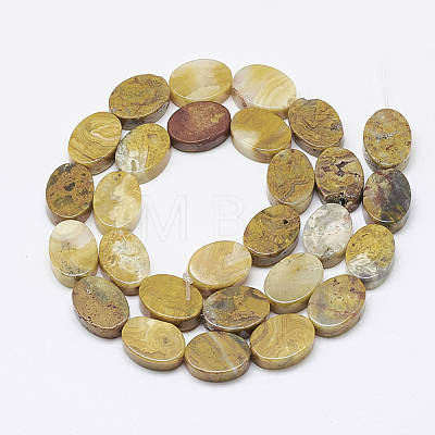 Natural Crazy Lace Agate Beads Strands G-T122-04C-1