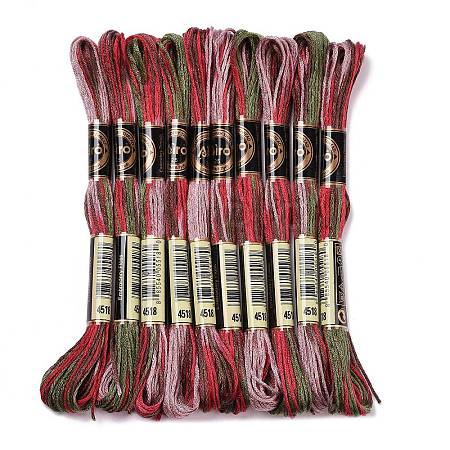 10 Skeins 6-Ply Polyester Embroidery Floss OCOR-K006-A17-1