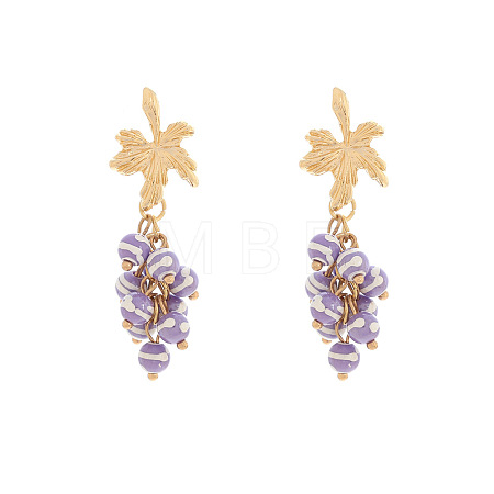 Alloy Resin Stud Dangle Earrings for Women WGF3FFF-03-1