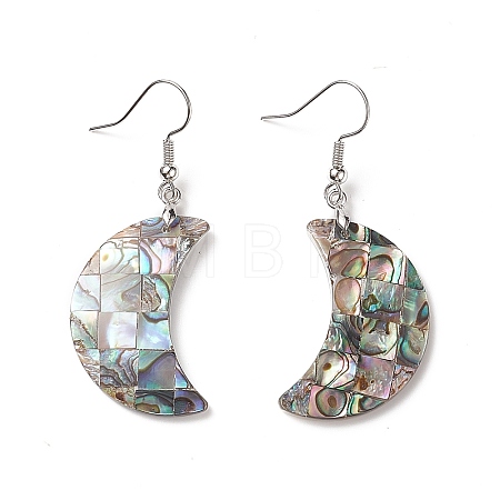 Abalone Shell/Paua Shell Dangle Earrings EJEW-F147-C15-1