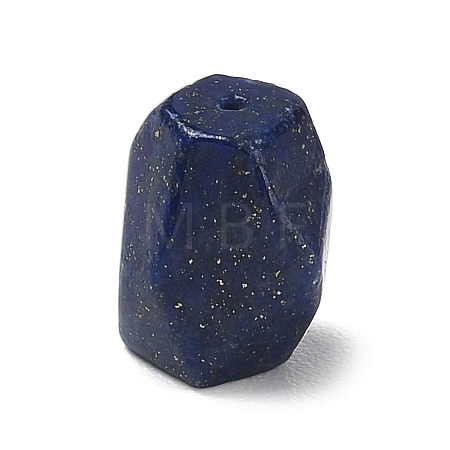 Natural Lapis Lazuli Beads G-T149-01G-1