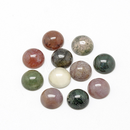Natural Indian Agate Cabochons X-G-R416-12mm-14-1