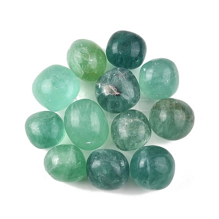 Natural Fluorite Beads G-G348-01B-50-1