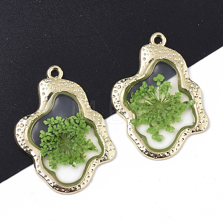 Epoxy Resin Pendants RESI-T045-028B-1