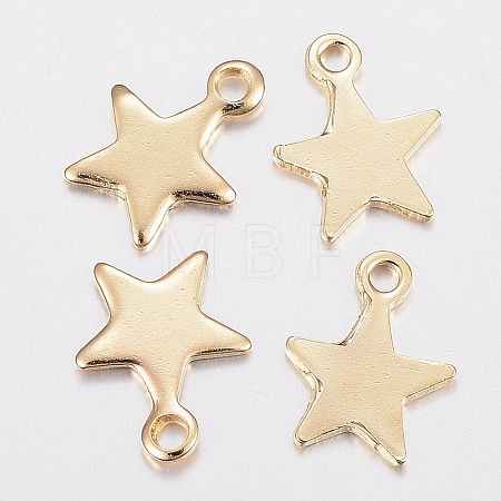 304 Stainless Steel Charms STAS-G179-80G-1