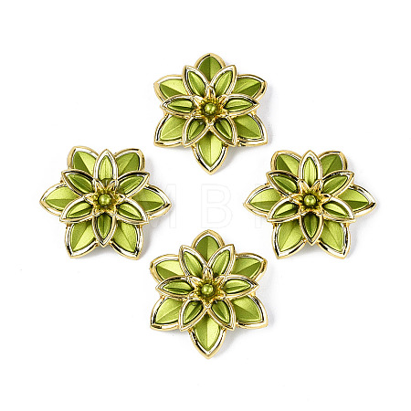 Matte Spray Painted Acrylic Beads LS-OACR-N159-01A-1