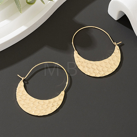 Alloy Hoop Earrings FS-WG09946-02-1