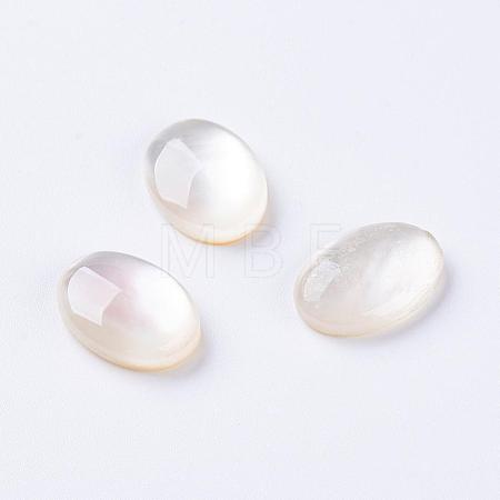 Shell Cabochons G-L470-15-1