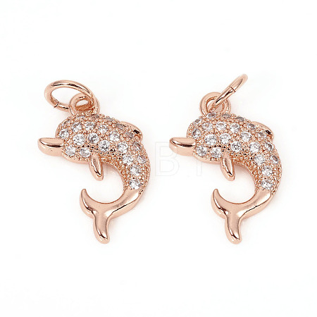 Brass Micro Pave Cubic Zirconia Charms ZIRC-L096-09RG-1