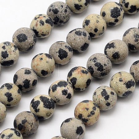 Natural Dalmatian Jasper Beads Strands X-G-D685-8mm-1