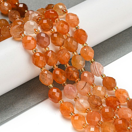 Natural Orange Botswana Agate Beads Strands G-N342-40-1